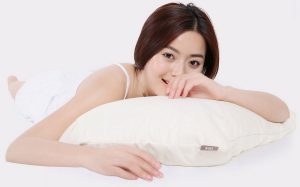 Xiaomi Mi 8H Pillow Z1