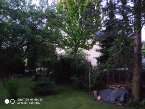 Ukázková fotografie do recenze Xiaomi Mi Mix 2s