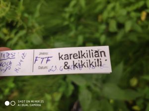 Ukázková fotografie do recenze Xiaomi Mi Mix 2s