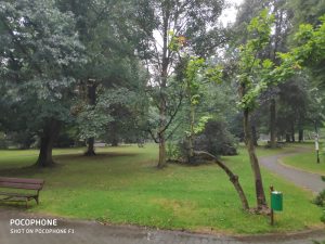 Ukázková fotografie do recenze Poco F1