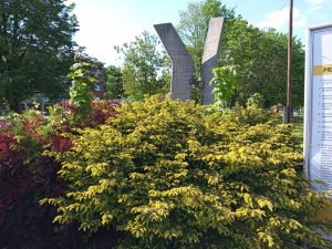 Ukázková fotka v rámci recenze Xiaomi Mi Play