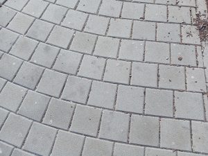 Ukázková fotka v rámci recenze Xiaomi Mi Play