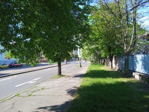 Ukázková fotka v rámci recenze Xiaomi Mi Play