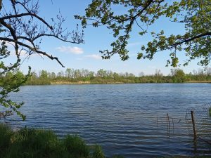 Ukázková fotka v rámci recenze Xiaomi Mi Play