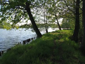 Ukázková fotka v rámci recenze Xiaomi Mi Play