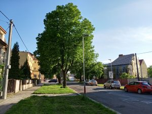 Ukázková fotka v rámci recenze Xiaomi Mi Play