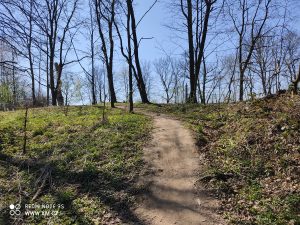 Ukázkové foto do recenze Redmi Note 9S