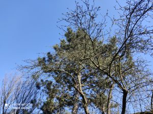 Ukázkové foto do recenze Redmi Note 9S