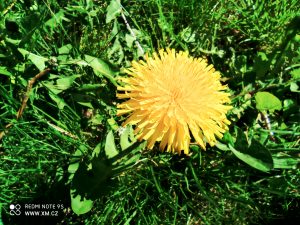 Ukázkové foto do recenze Redmi Note 9S