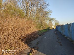 Ukázkové foto do recenze Redmi Note 9S