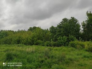 Ukázková fotka do recenze Redmi Note 9 Pro