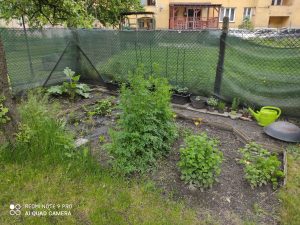 Ukázková fotka do recenze Redmi Note 9 Pro