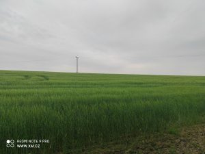 Ukázková fotka do recenze Redmi Note 9 Pro