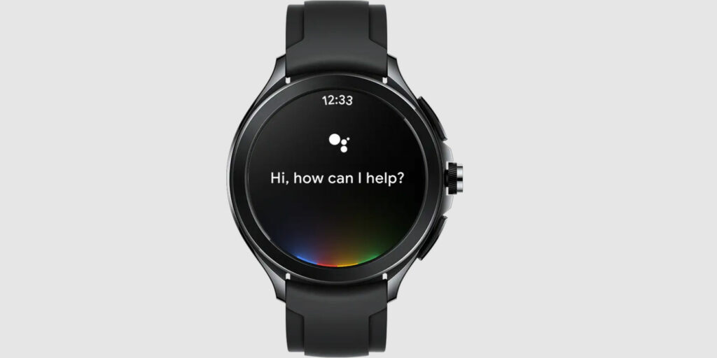 Podpora Asistenta Google