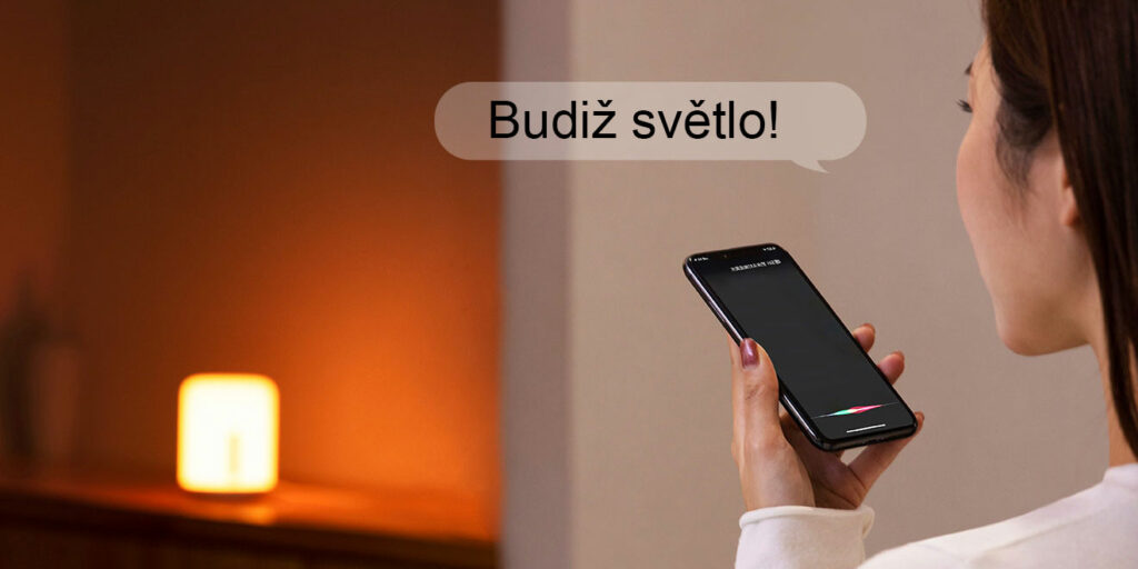 Ovládání pomocí hlasových příkazů