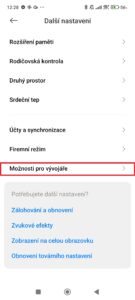 Pokračujte do Možnosti pro vývojáře
