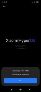 Screenshot_2025-03-28-12-25-51-092_com.android.updater