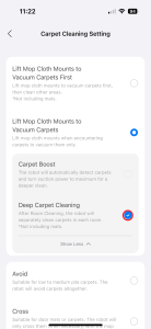 Deep Carpet Cleaning (Hloubkové čištění koberců)