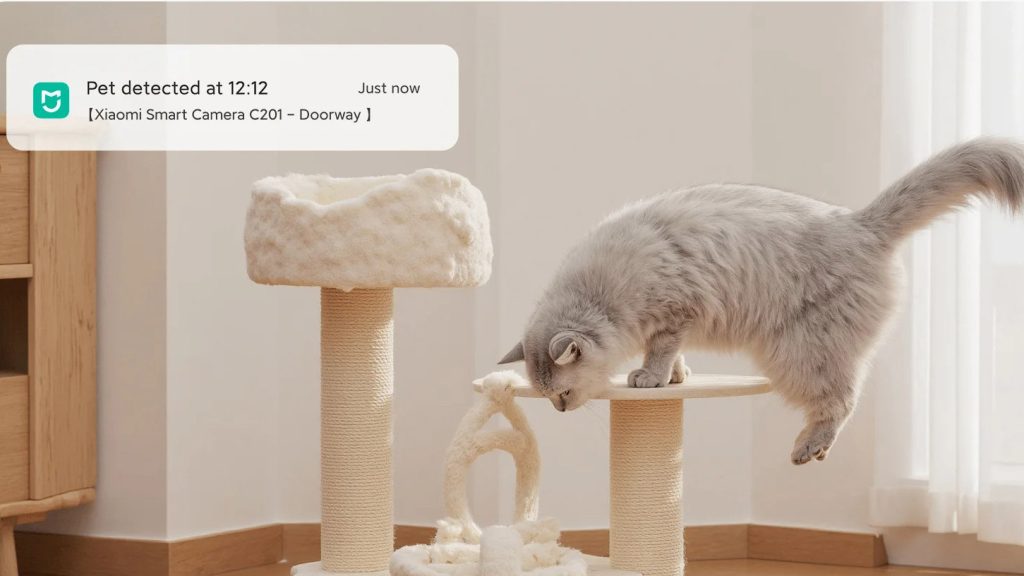 Kamera dokáže automaticky rozpoznat a sledovat pohyb psů a koček