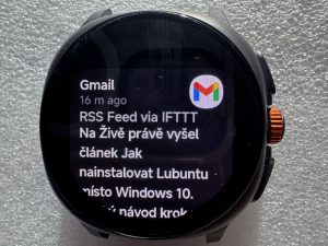 Čeština nečinila problémy