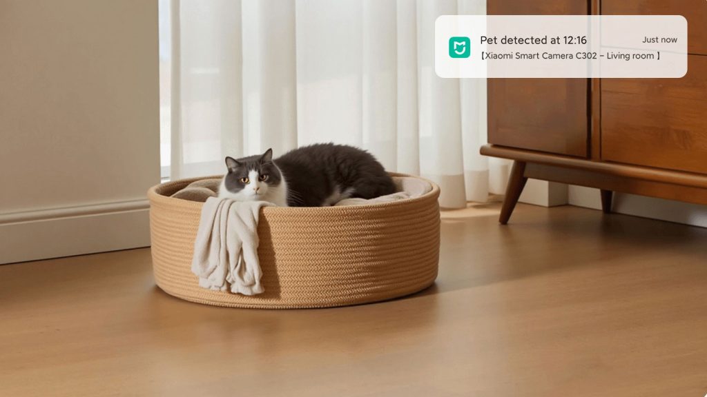 Detekce domácích mazlíčků