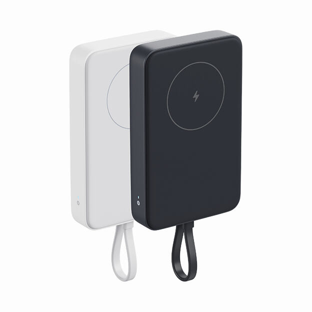 Xiaomi 33W Magnetic Power Bank 10000 (Integrated Cable)