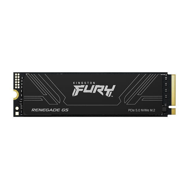 Kingston Fury Renegade G5/1TB/SSD/M.2 NVMe/Černá/Heatsink/5R