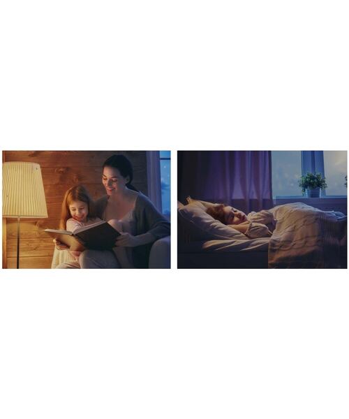 TP-link chytrá žárovka Tapo L530E(2-pack) E27 barevná