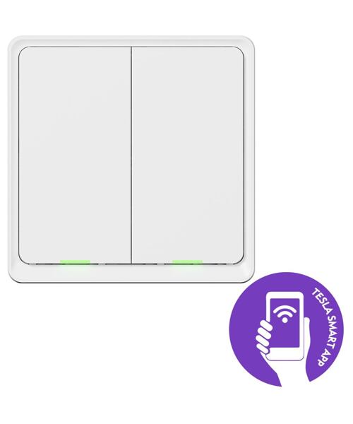 Tesla Smart Switch Dual Battery