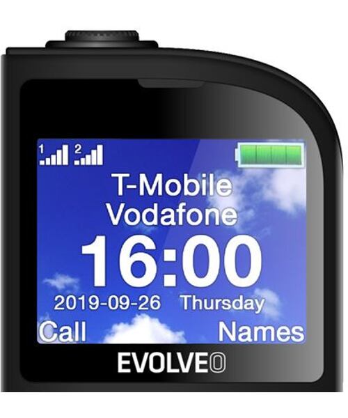 EVOLVEO EasyPhone FL Black