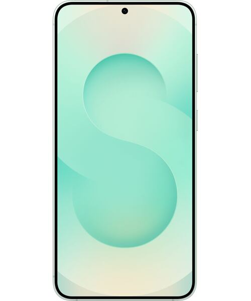 Samsung Galaxy S25 5G Dual SIM Mint