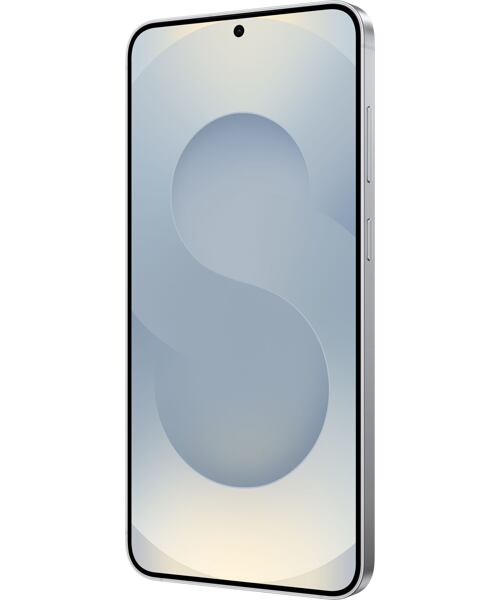 Samsung Galaxy S25 5G Dual SIM Silver Shadow
