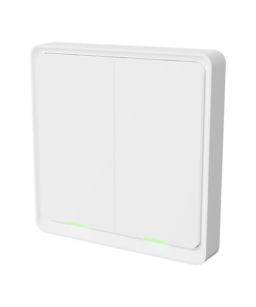 Tesla Smart Switch Dual Battery