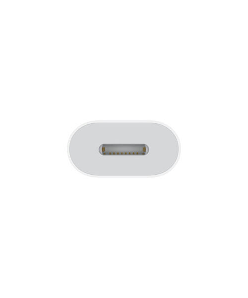 APPLE USB-C to Lightning Adapter / SK