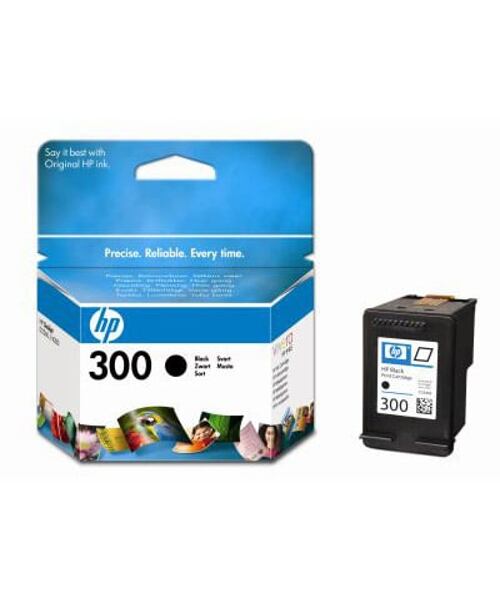 HP 300 Černá originální inkoustová kazeta