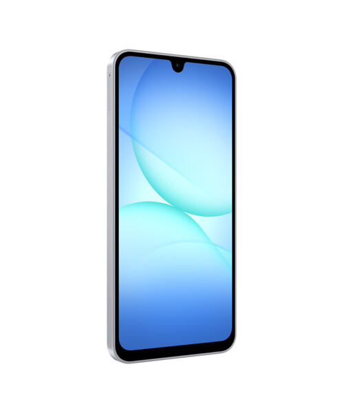 Samsung SM-A176 Galaxy A17 Dual SIM Gray