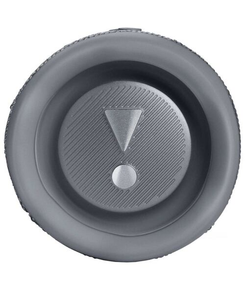 JBL Flip 6 - Grey