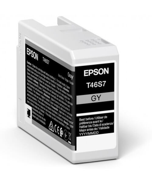 Epson Singlepack Gray T46S7 Ultrachrome