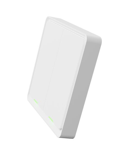 Tesla Smart Switch Dual Battery