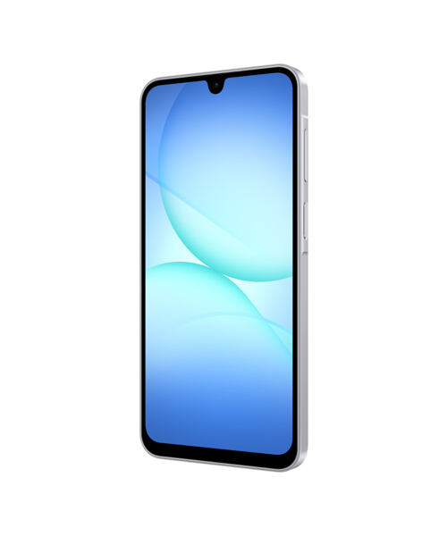 Samsung SM-A176 Galaxy A17 Dual SIM Gray