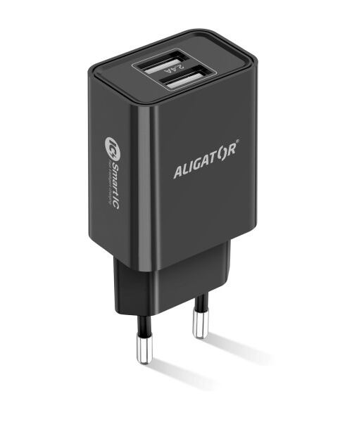 CD ALI USB-C 2xUSB výstup, 2,4A, smart IC, černá
