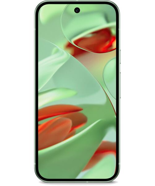 Google Pixel 9 5G Wintergreen