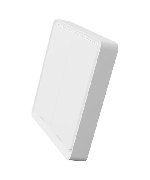 Tesla Smart Switch Dual Battery