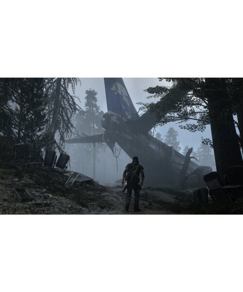 Sony PS4 - Days Gone