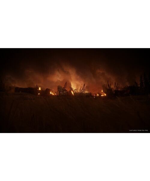 Sony PS4 - The Last of Us Part II