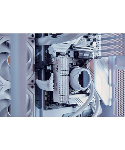 Kingston FURY Beast EXPO/DDR5/32GB/6000MHz/CL36/2x16GB/White