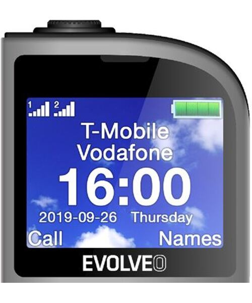 EVOLVEO EasyPhone FL Silver