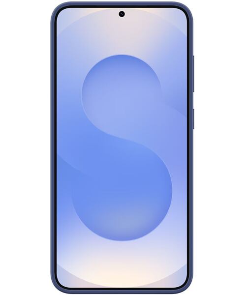 Samsung Silikonový zadní kryt pro Galaxy S25+ Blue
