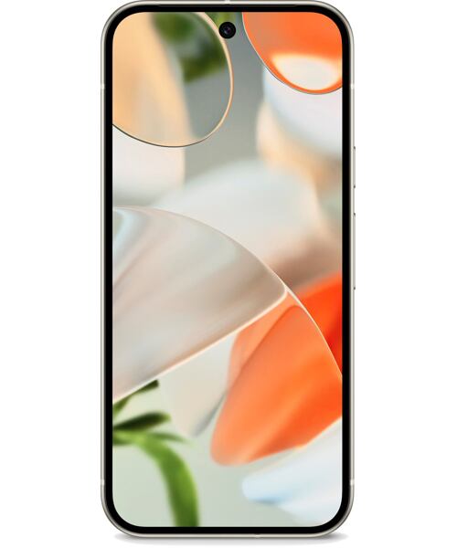 Google Pixel 9 5G Porcelain