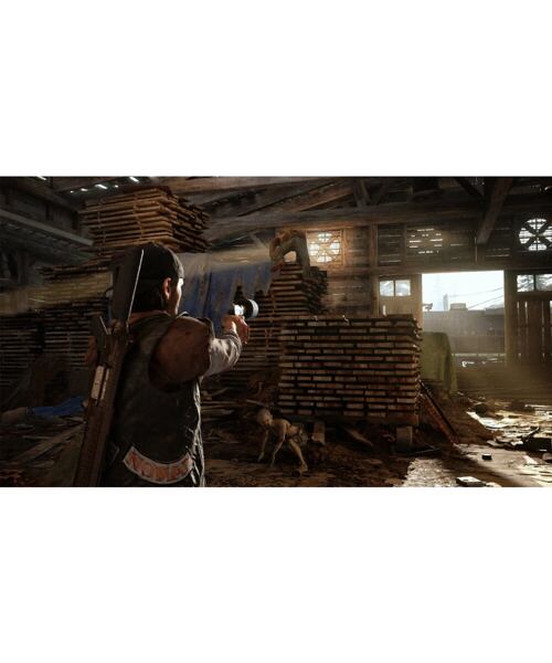 Sony PS4 - Days Gone